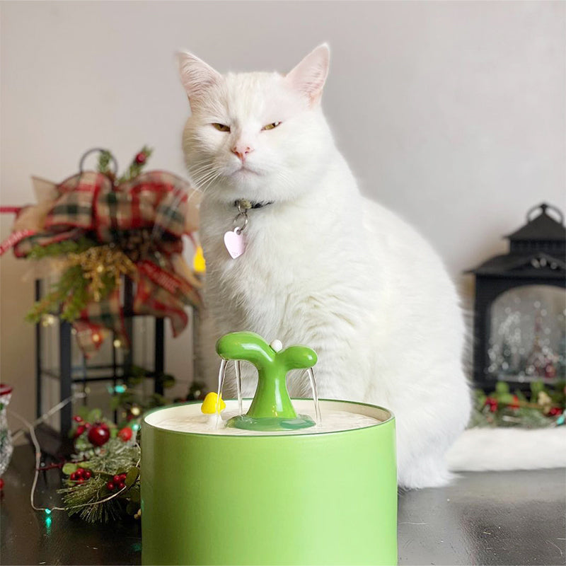 Kattfontän – SpringFlow