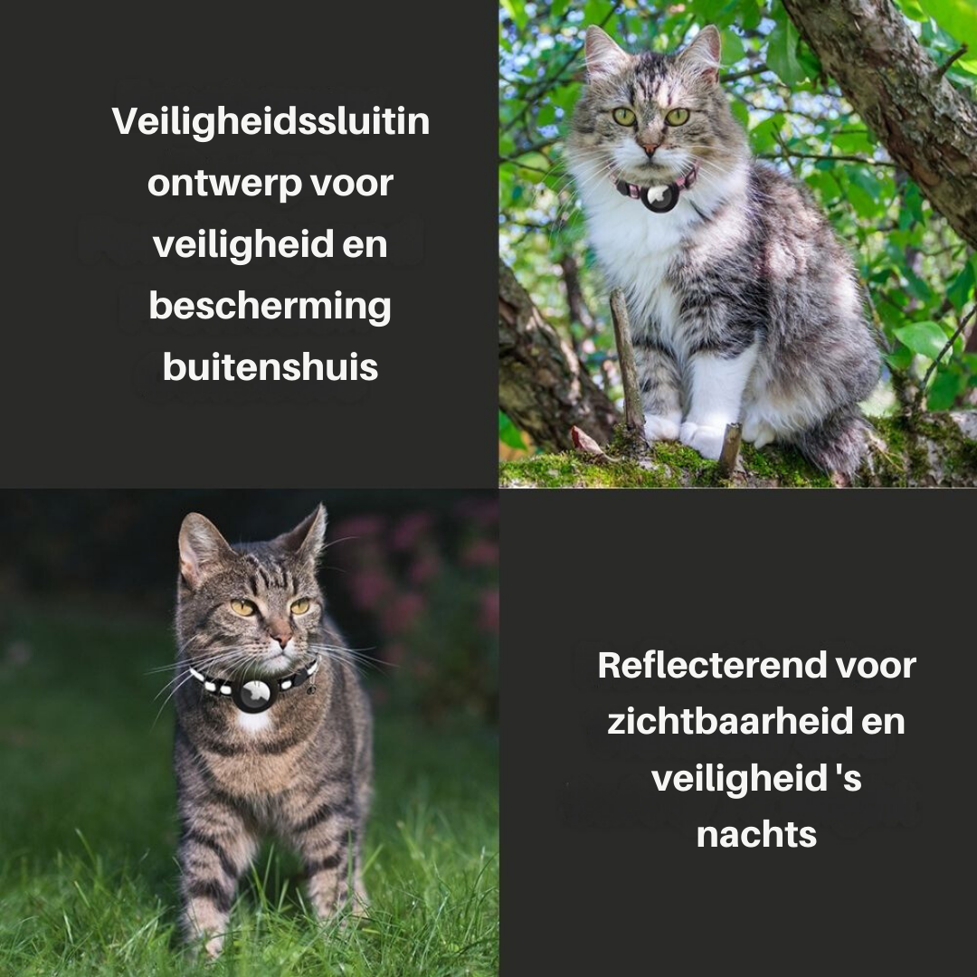 Kattkrage med säkerhetsspänne - Milo