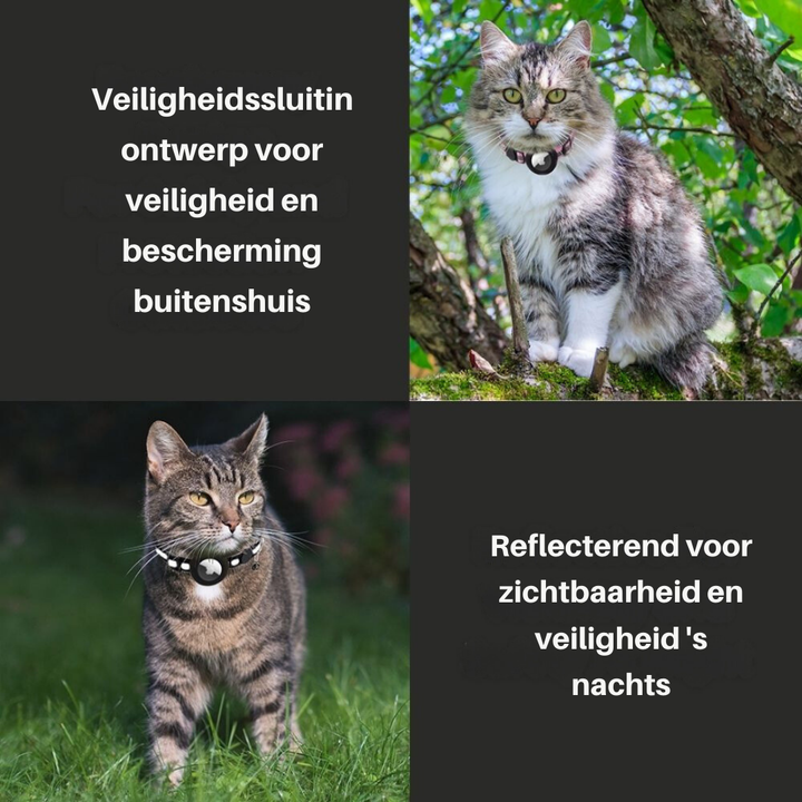 Kattkrage med säkerhetsspänne - Milo