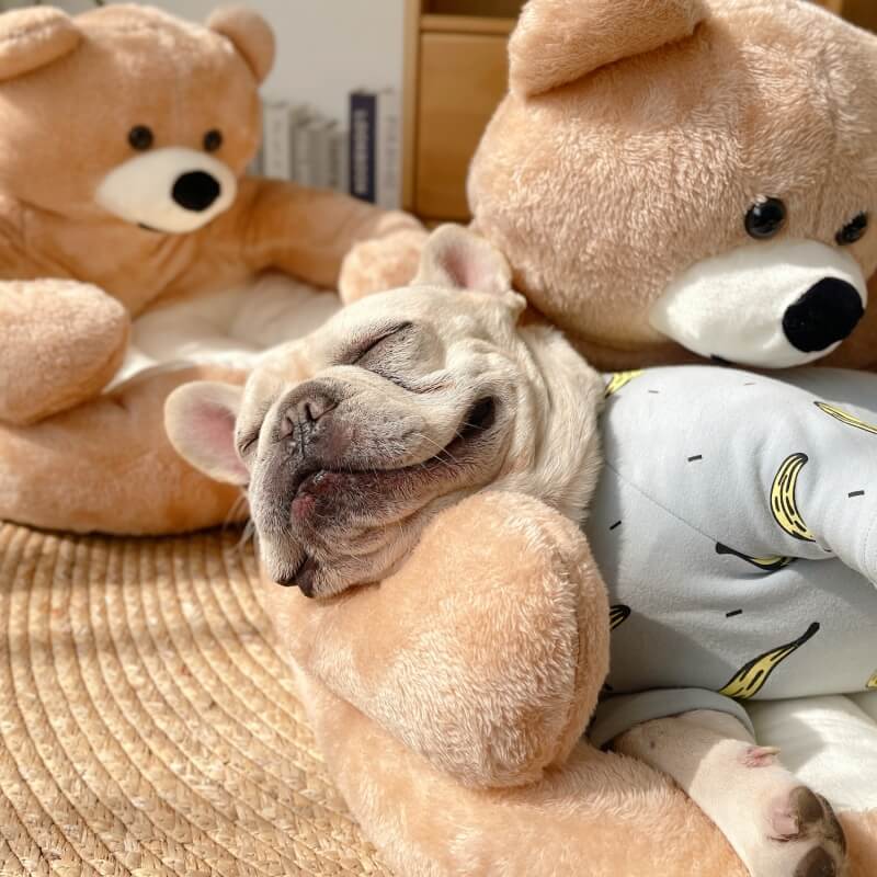 Justerbar Kramsbjörn – SnuggleBear