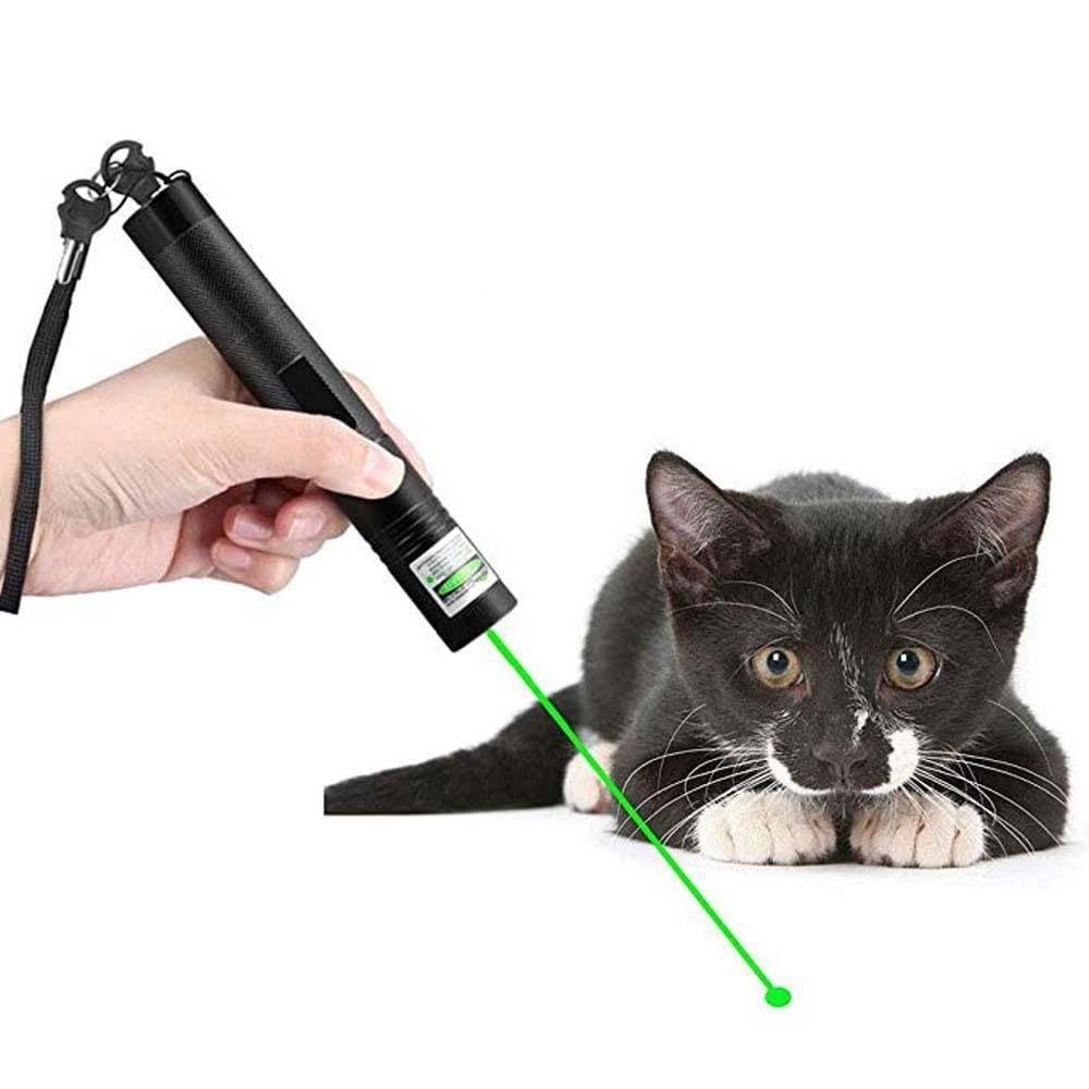 Kraftfull laserpekare 303 | Stark grön stråle för långa avstånd