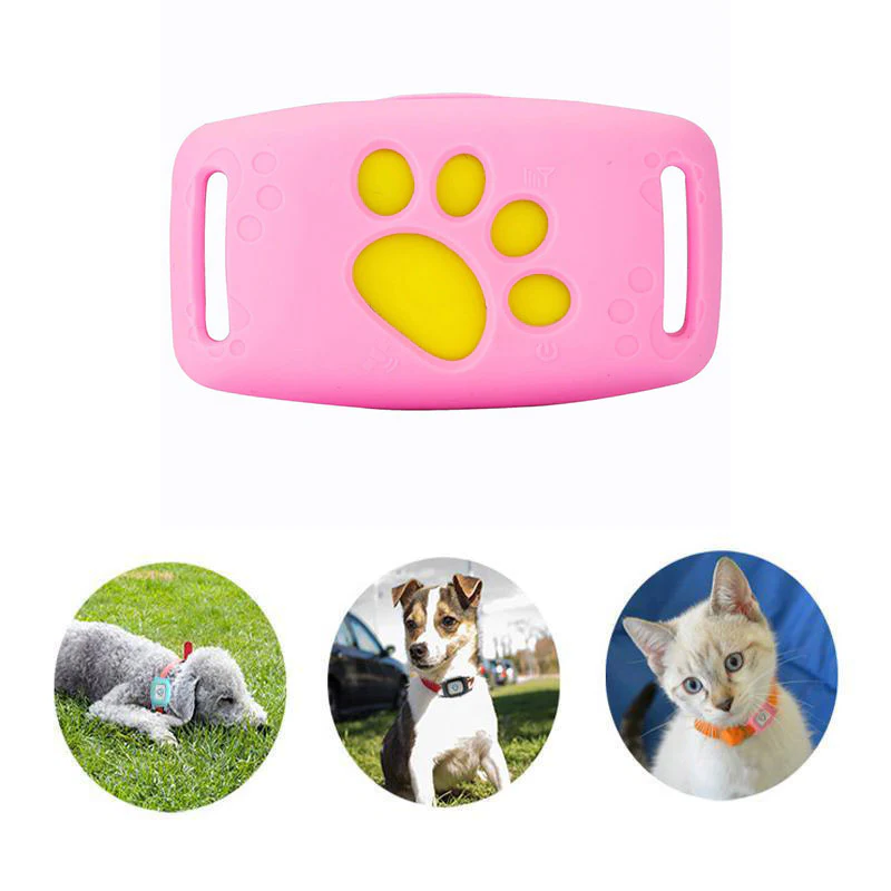PetSafe GPS-halsband för husdjur – realtidsspårning, vattentätt och utan abonnemang