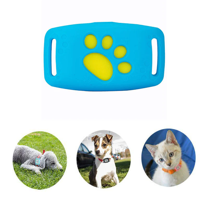 PetSafe GPS-halsband för husdjur – realtidsspårning, vattentätt och utan abonnemang