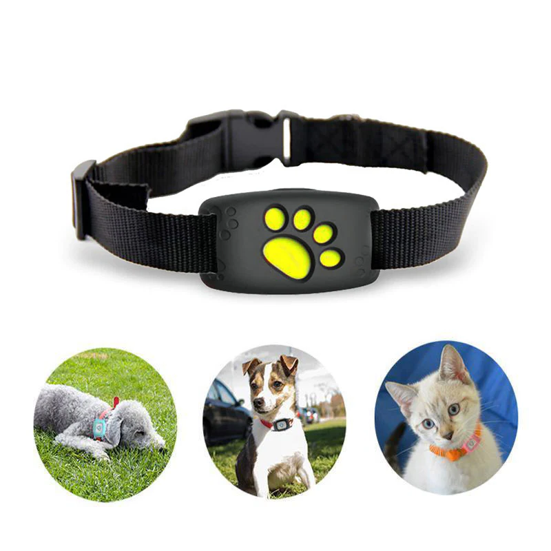 PetSafe GPS-halsband för husdjur – realtidsspårning, vattentätt och utan abonnemang