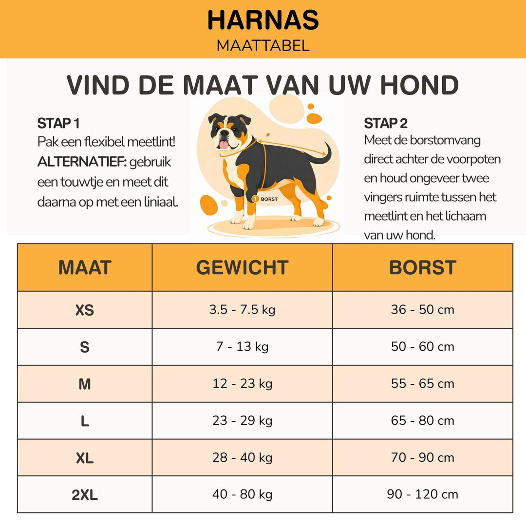 Personifierbar hundsele – reflekterande och stödjande design