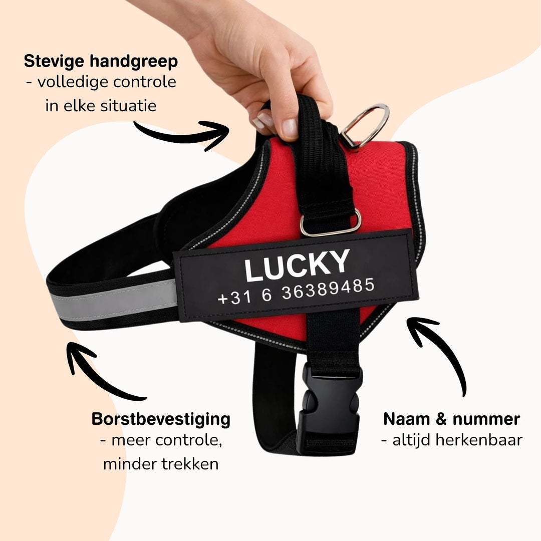 Personifierbar hundsele – reflekterande och stödjande design