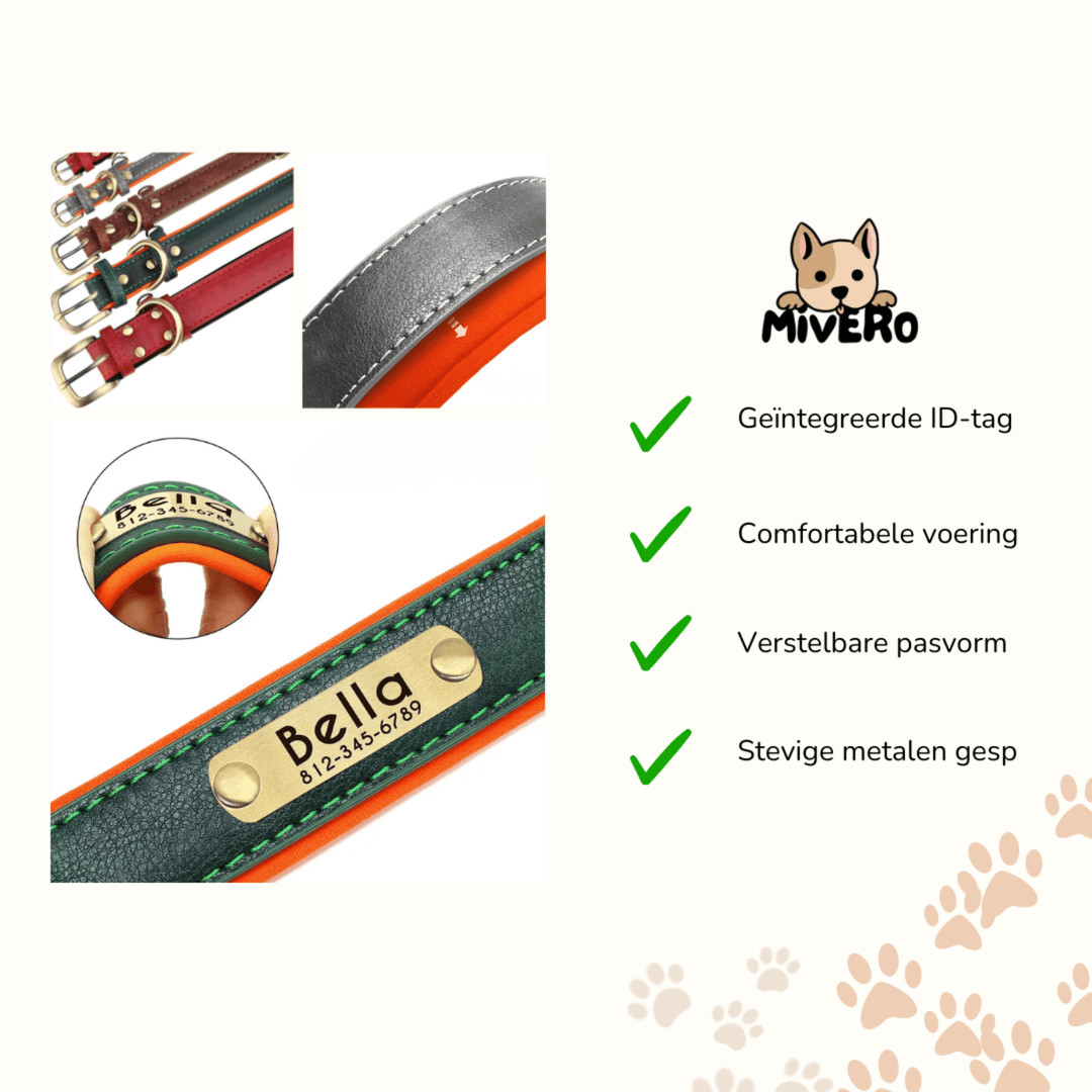 Graverat hundhalsband i läder med personligt namnskylt