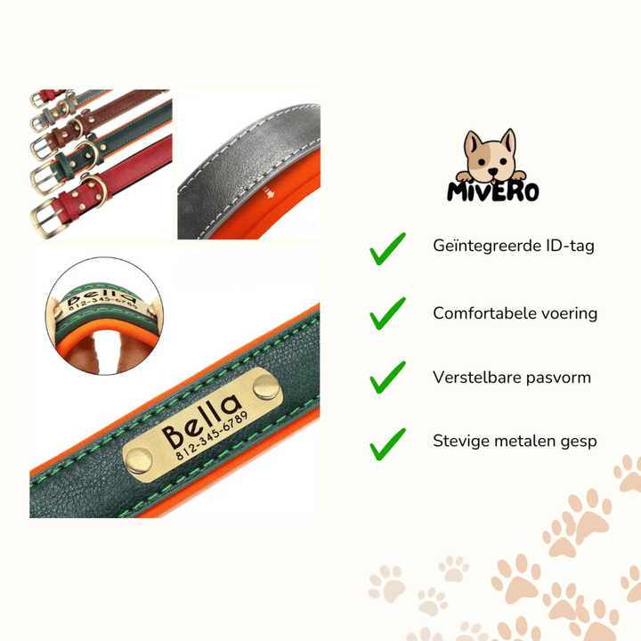 Graverat hundhalsband i läder med personligt namnskylt