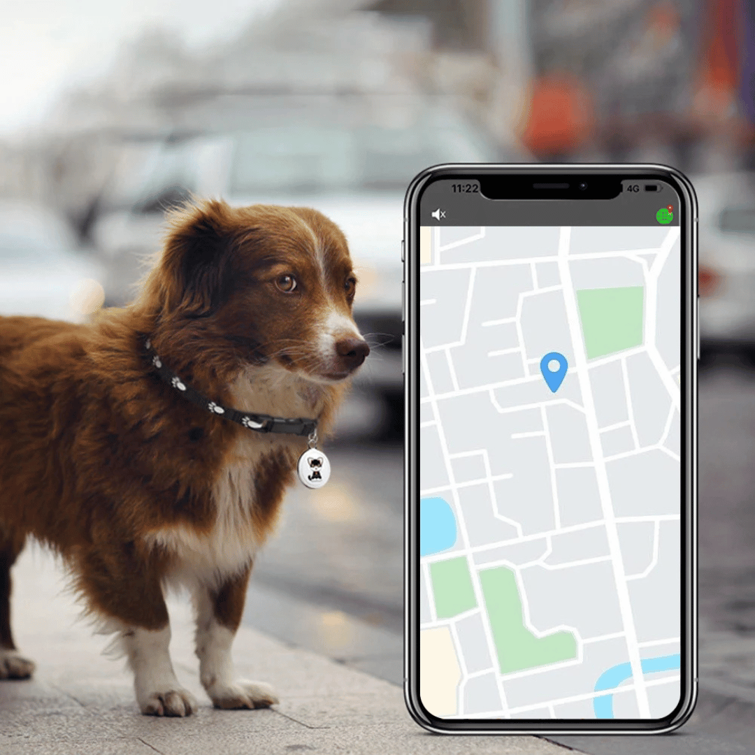 GPS-tracker för djur - hundar och katter - Android och iOS