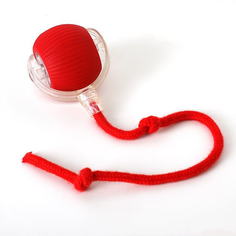 ChaseBall interaktiv jaktleksak för hundar och katter - LED, USB