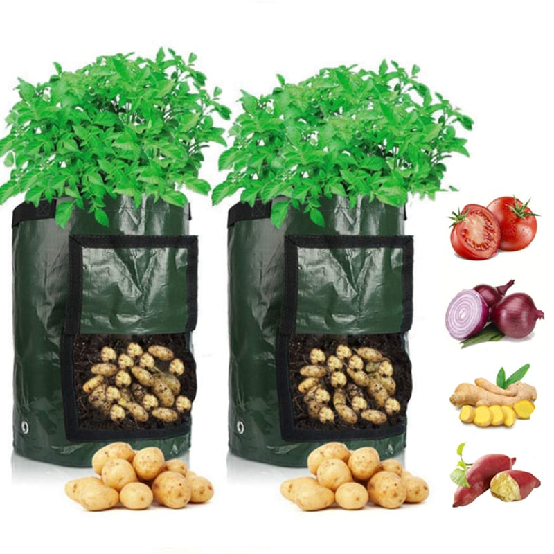 Odla potatis hemma: smart potatisodlingssäck för altan och balkong