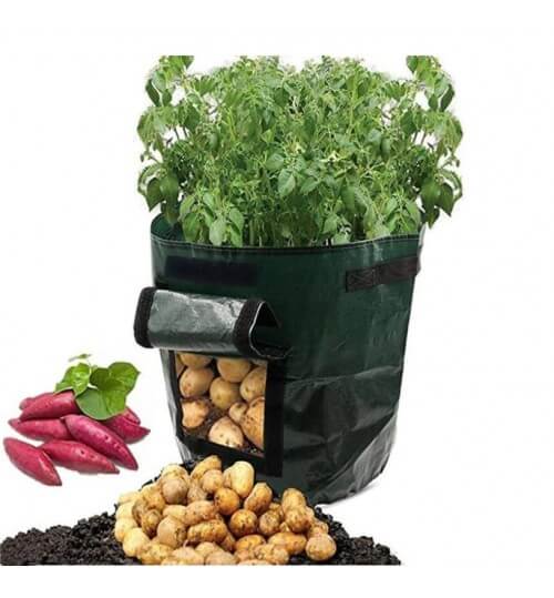 Odla potatis hemma: smart potatisodlingssäck för altan och balkong