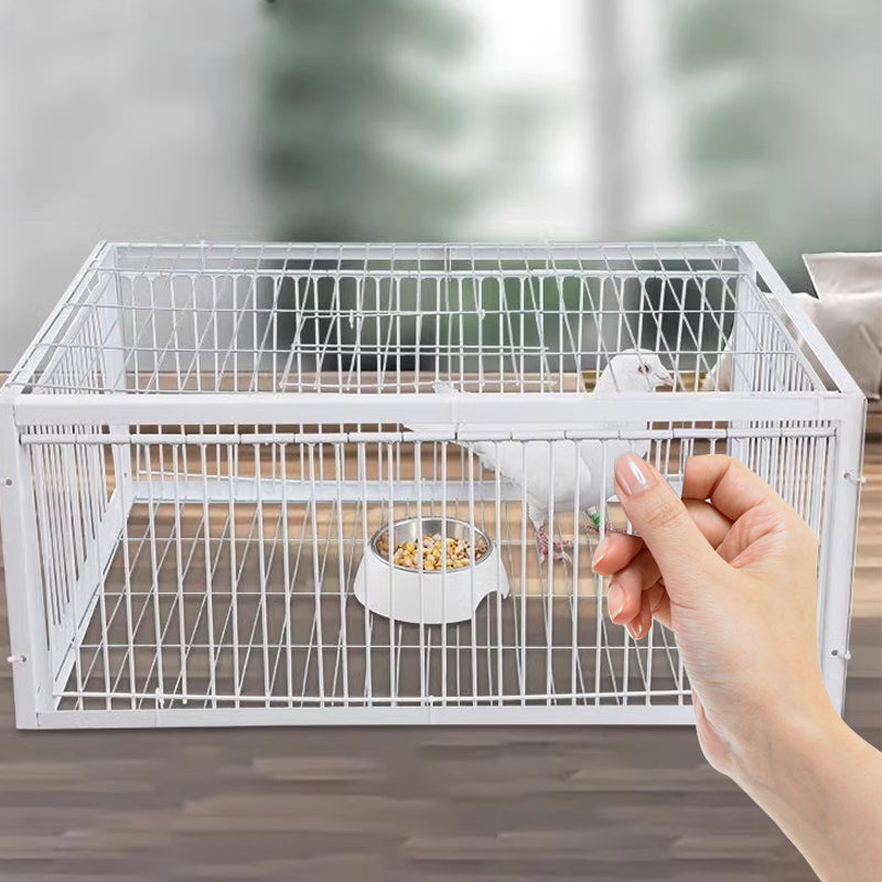 Skonsam fågelfälla med backspärrsmekanism – BirdSafe-fälla