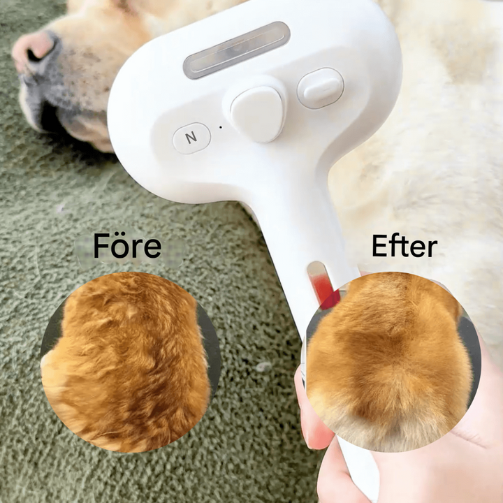 BrushPaw dampbørste til hunde