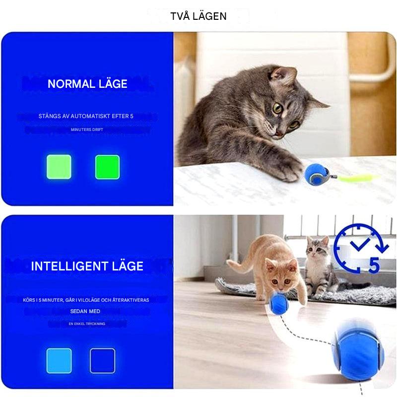 Interaktiv kattballeke – Selvgående rullende lekeball