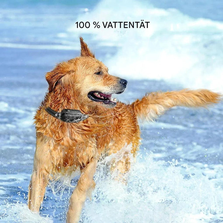 Elektrisk hundetræningshalsbånd med fjernbetjening