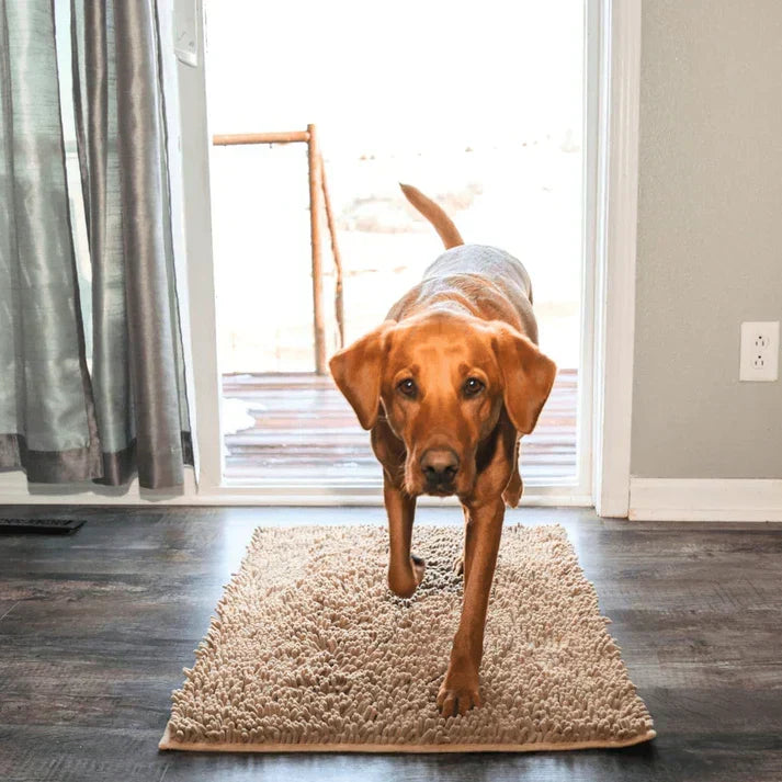 Extra Absorberande Matta för Hundar – PawMat