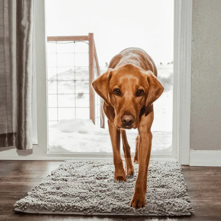 Extra Absorberande Matta för Hundar – PawMat