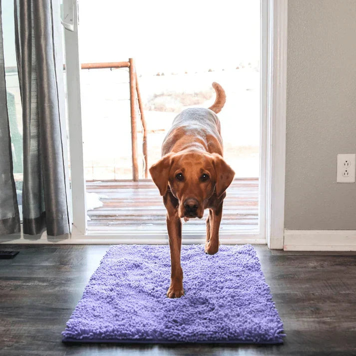 Extra Absorberande Matta för Hundar – PawMat