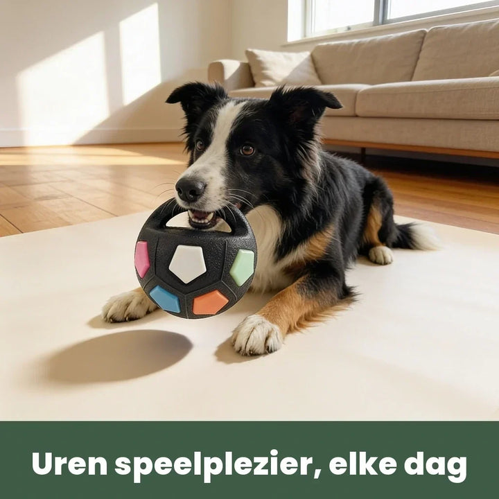 Oförstörbar hundboll för kraftiga tuggare
