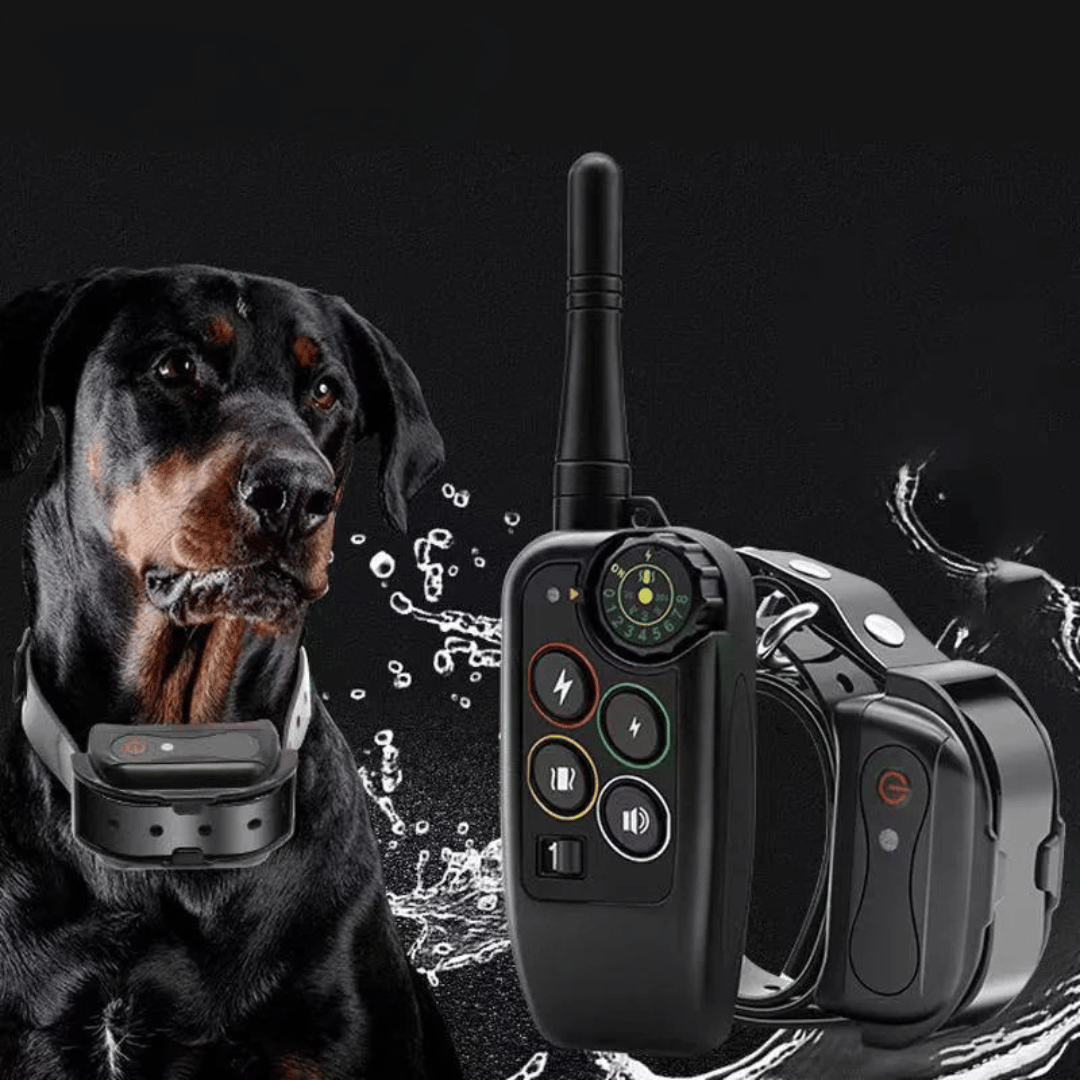 Elektronisk hundhalsband för träning, vattentät med lång räckvidd 1000m & fjärrkontroll