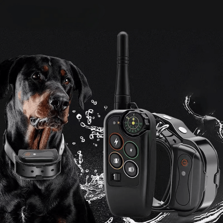 Elektronisk hundhalsband för träning, vattentät med lång räckvidd 1000m & fjärrkontroll